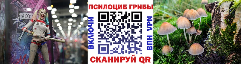 как найти закладки Алапаевск Псилоцибиновые грибы MAGIC MUSHROOMS